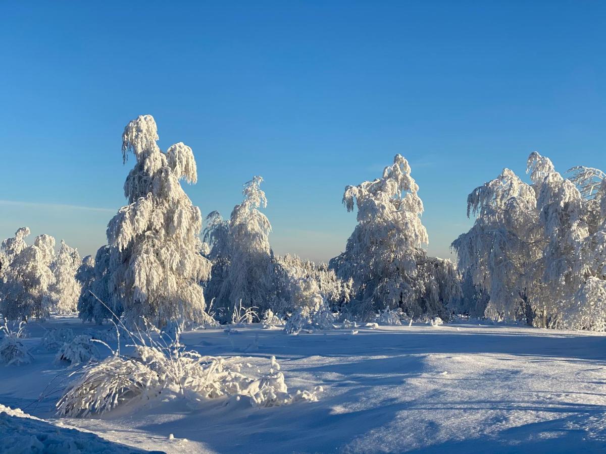 Schwarzwald Wohnung Kniebis Freudenstadt Exteriér fotografie