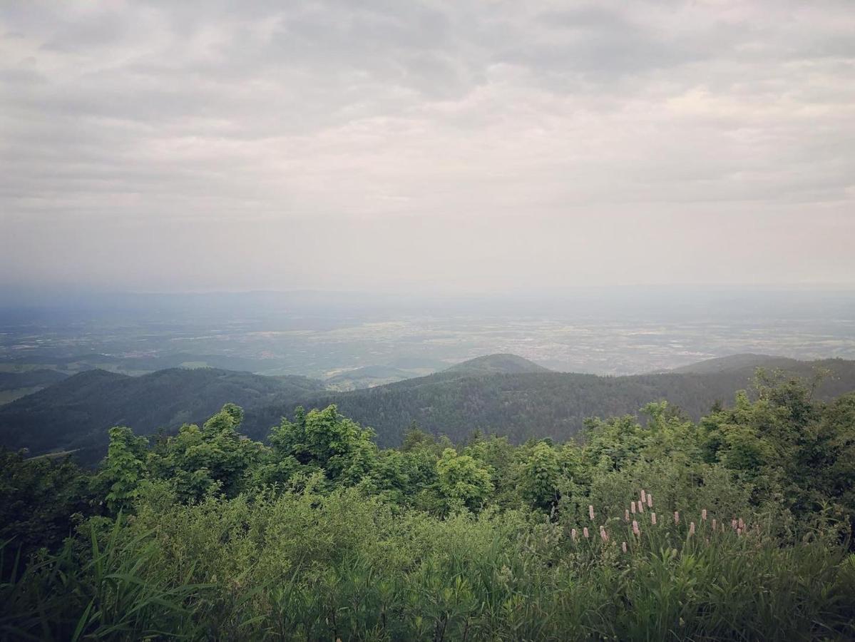 Schwarzwald Wohnung Kniebis Freudenstadt Exteriér fotografie